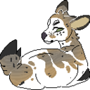 moonstruck-eye avatar