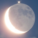 moonstruckmlm avatar