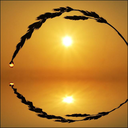 moonsun000007 avatar