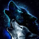 moonwatcher04 avatar