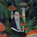 moonwitchblogs avatar