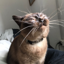 moony-brainrot avatar