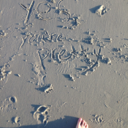 moonyeyedwalrus avatar