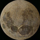 moonysdogsitter avatar