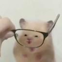 moonysentropia avatar