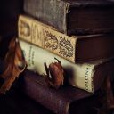 moonystoastisbetterthanyours avatar