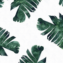 mooonandleaves avatar