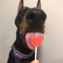 mooonlighhttttt avatar