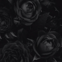 moorethanfeelings avatar