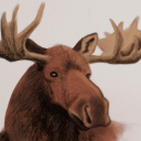 moose-of-the-bog avatar