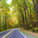 moosesnavigator avatar