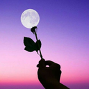 moradadesonhosposts avatar