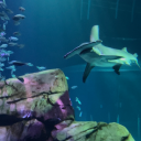 moralityandmusings avatar