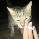 morallybankrupt69-blog avatar