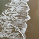 morallygrey134340 avatar