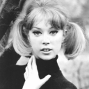 moranguiinhoszz avatar