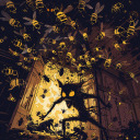 more-bees avatar