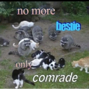 more-fandon-than-friends avatar