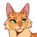 morecatswarriorcats avatar