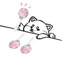 morechoy-blog avatar