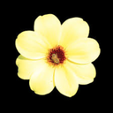 morelikegaymer avatar