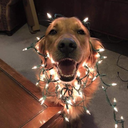 morelove-lesshate avatar