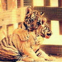 morenohh-blog avatar