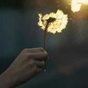 morenoleonardo avatar