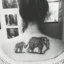 morethanmiles2go avatar