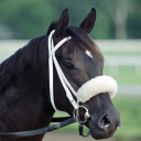 morethanready avatar