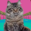 morevibesplease avatar