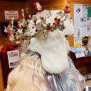 morgaine-of-the-faeries avatar