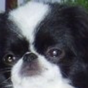 morganandthings avatar