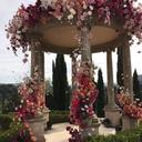 morganicmilk13 avatar