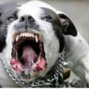 morguesupplier avatar