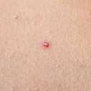 mori-no-kuma-san avatar