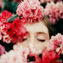 morningdew-drops avatar