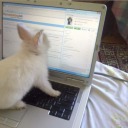 morningdewandlotsofthoughts avatar