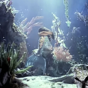 morninglorystore avatar