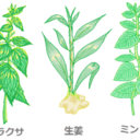 morningmoss-blog avatar