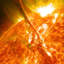 morningwoodsblog avatar