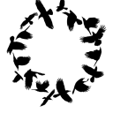 morrigans-crows avatar