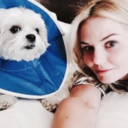 morrisonmciver-blog avatar