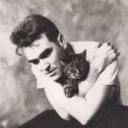 morrisseyschild avatar