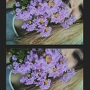 mortafuorivivadentro-blog avatar