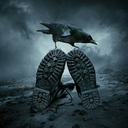 mortalcrow avatar