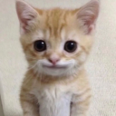 mortallyluckycupcake avatar