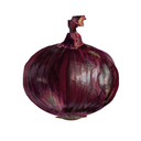 morte-a-elle-meme avatar