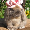 morte-mistrata avatar