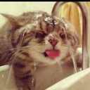 mortecriativa-blog avatar